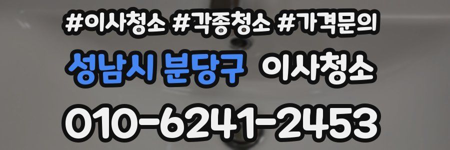 성남시 분당구 이사청소