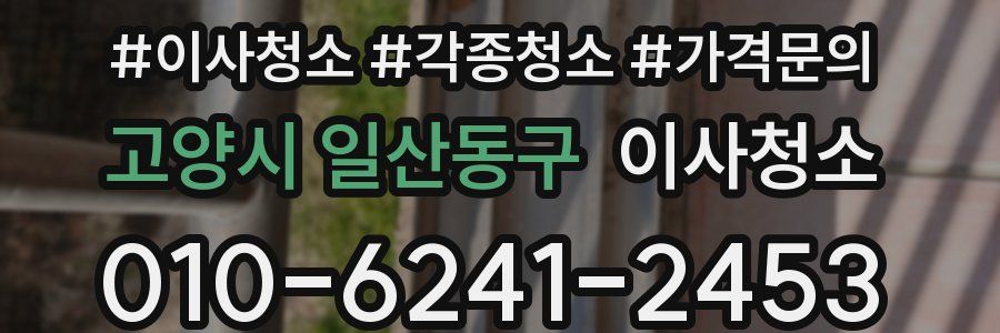 고양시 일산동구 이사청소