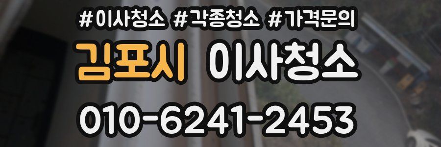 김포시 이사청소