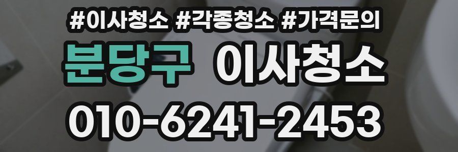 분당구 이사청소