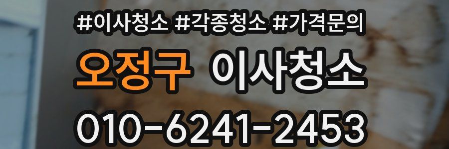 오정구 이사청소