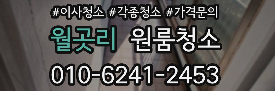 월곳리 이사청소