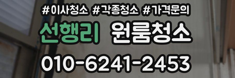 선행리 이사청소