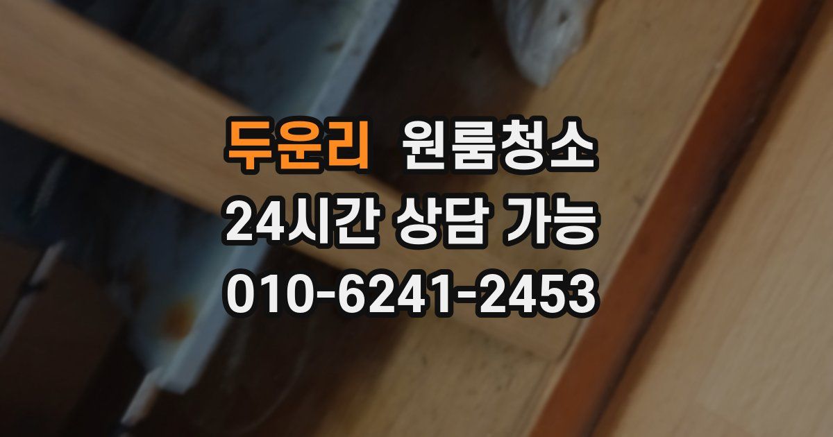 두운리 입주청소