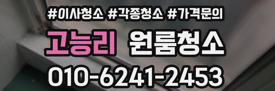 고능리 이사청소