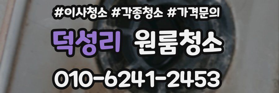 덕성리 이사청소