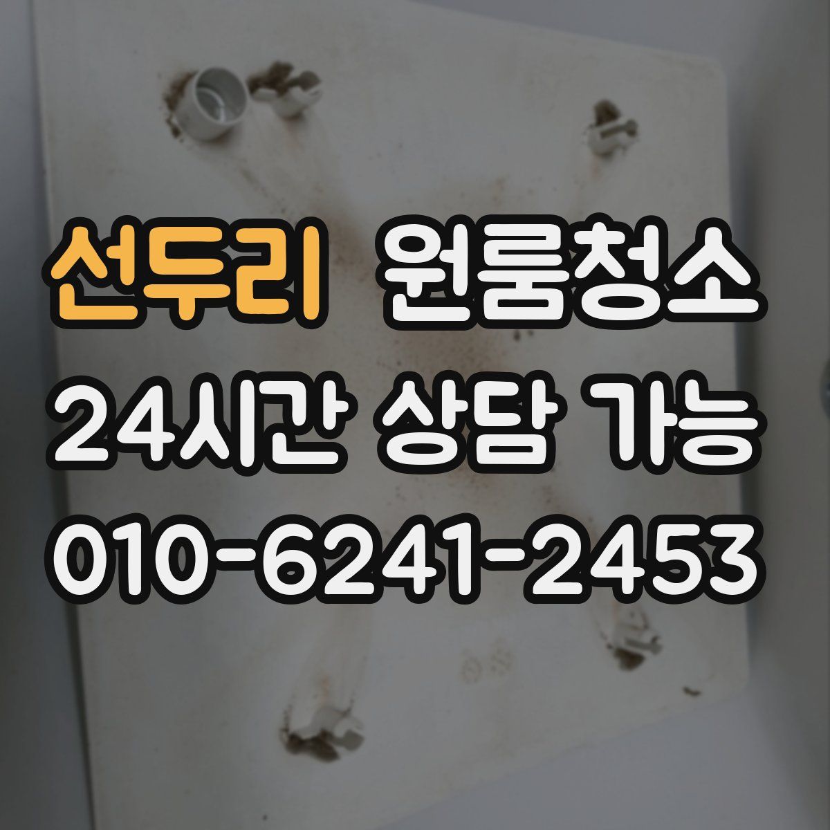 선두리 원룸청소