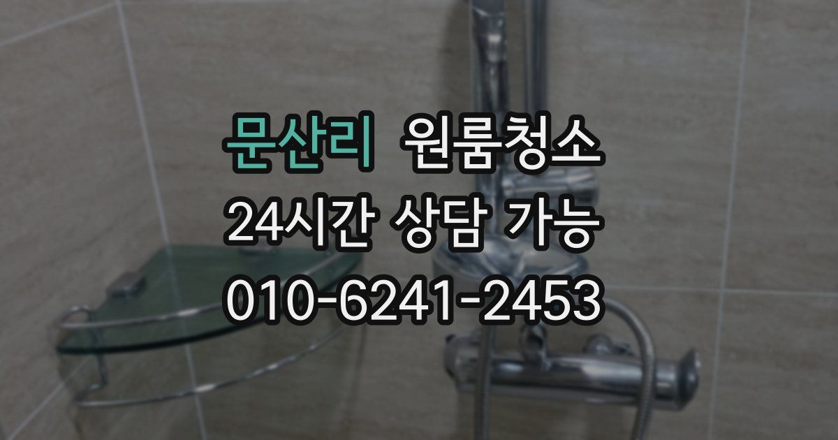 문산리 입주청소