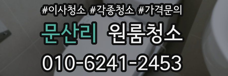 문산리 이사청소