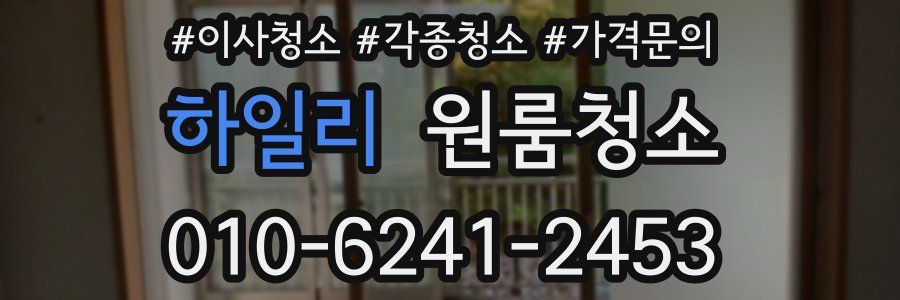 하일리 이사청소