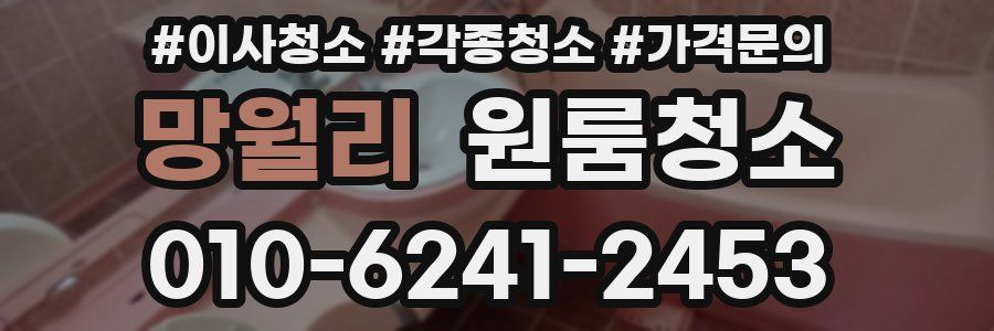 망월리 이사청소