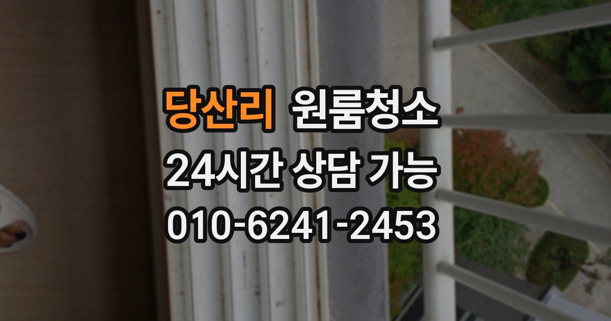 당산리 입주청소