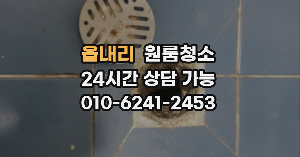 읍내리 입주청소