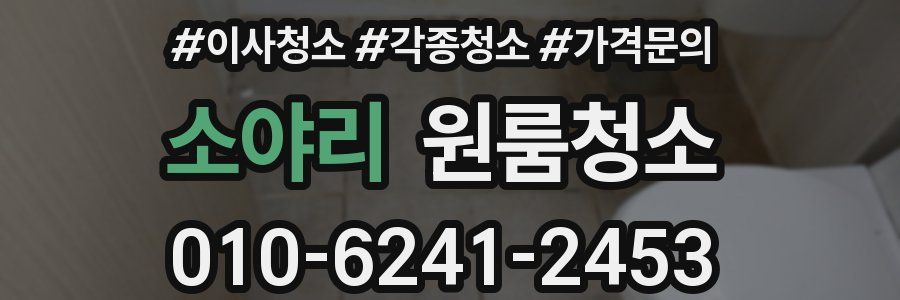 소야리 이사청소