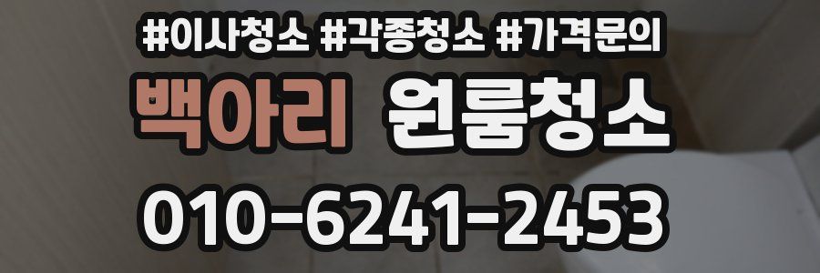 백아리 이사청소