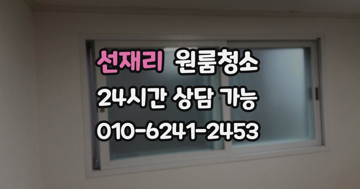 선재리 입주청소