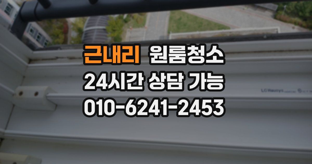 근내리 입주청소