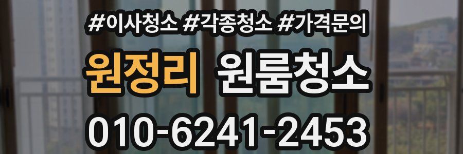 원정리 이사청소