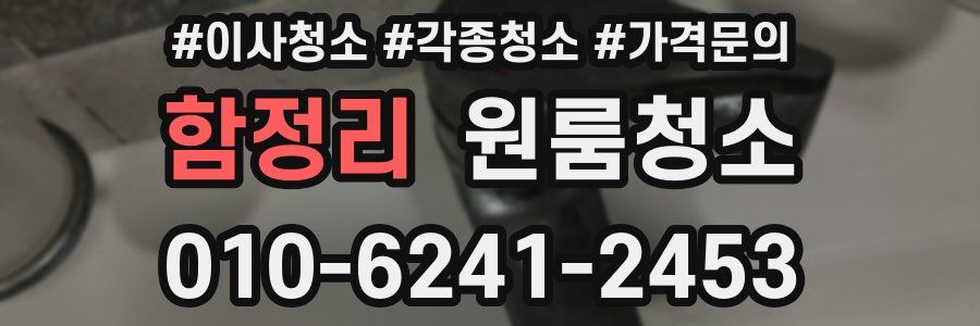 함정리 이사청소