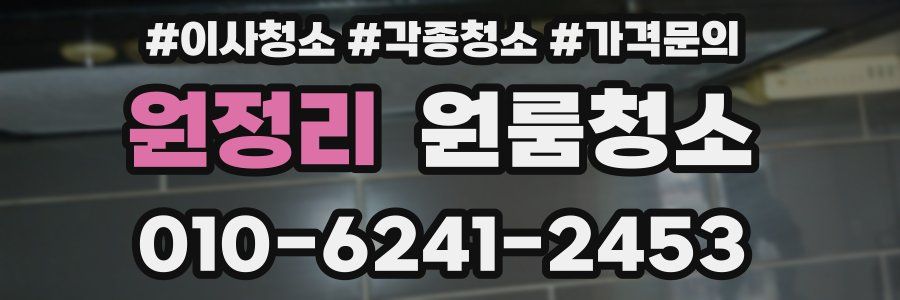 원정리 이사청소