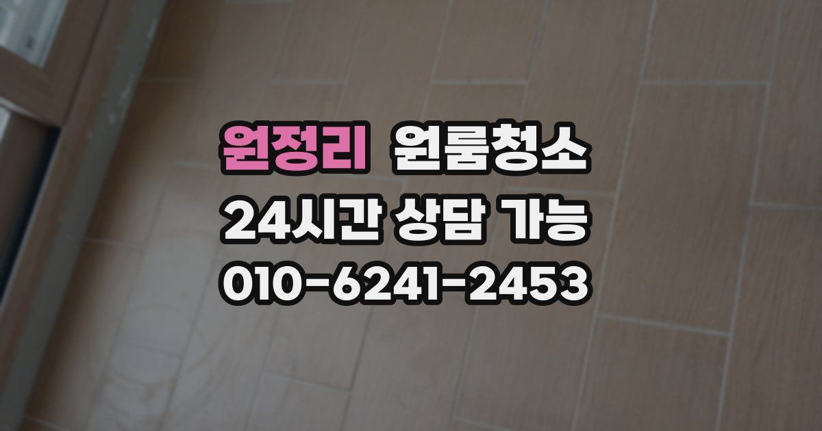 원정리 입주청소