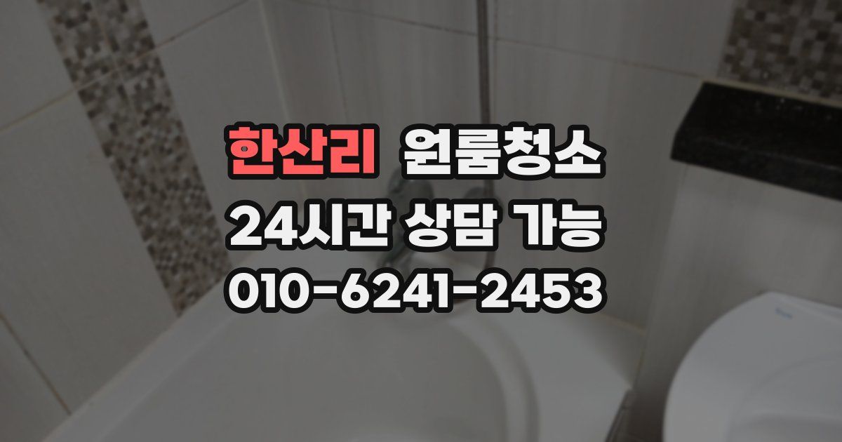 한산리 입주청소