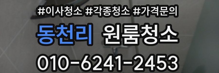 동천리 이사청소