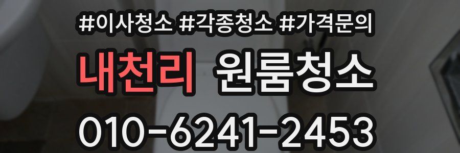 내천리 이사청소