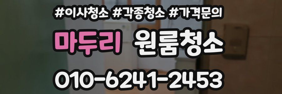 마두리 이사청소