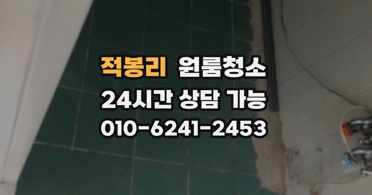 적봉리 입주청소