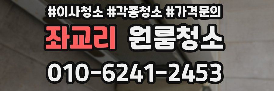 좌교리 이사청소