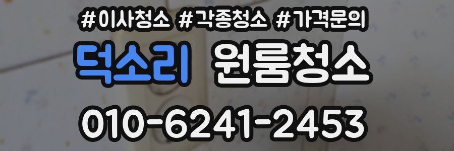 덕소리 이사청소