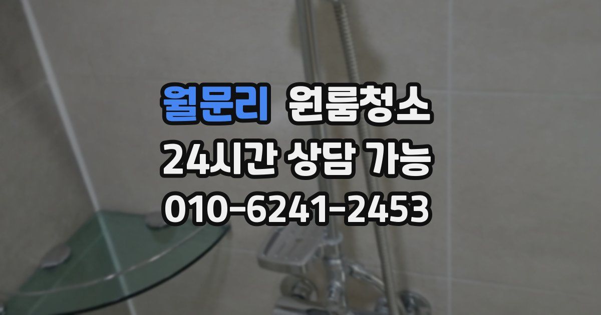 월문리 입주청소