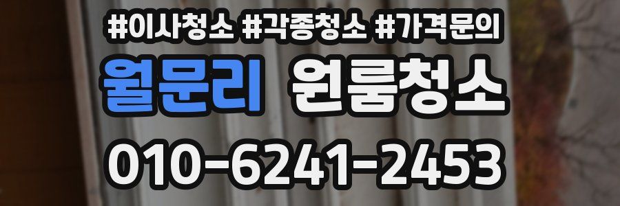 월문리 이사청소
