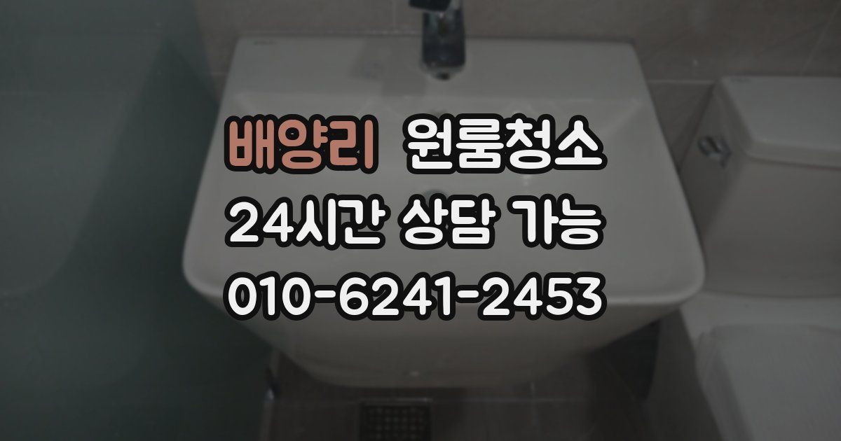 배양리 입주청소