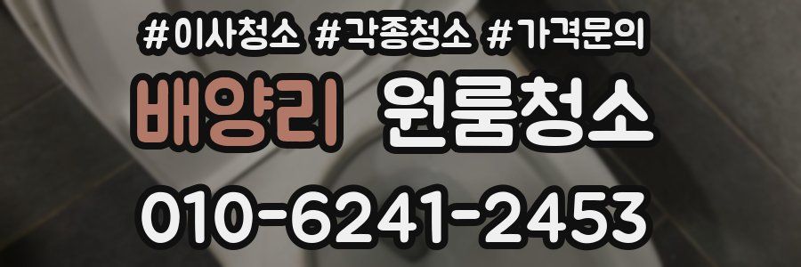 배양리 이사청소