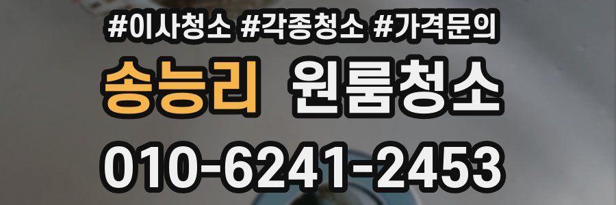 송능리 이사청소