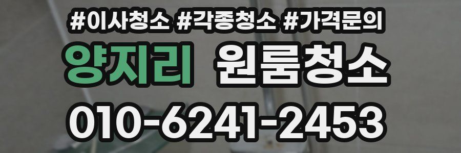 양지리 이사청소