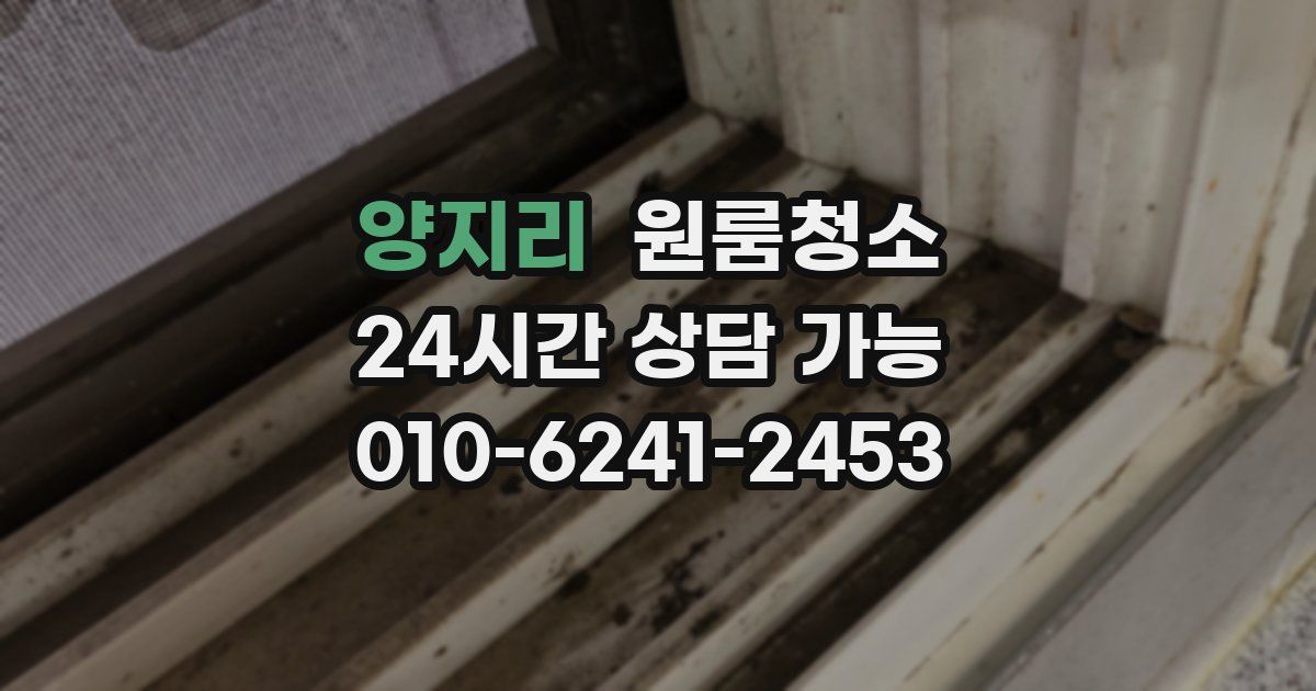 양지리 입주청소