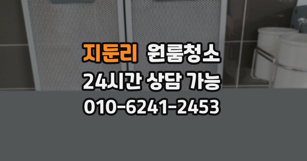 지둔리 입주청소