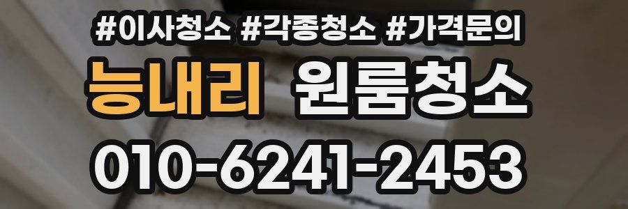 능내리 이사청소
