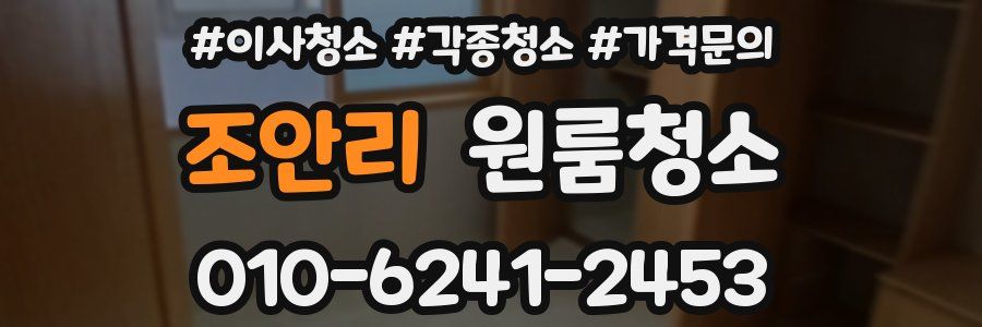 조안리 이사청소