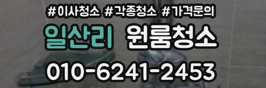 일산리 이사청소