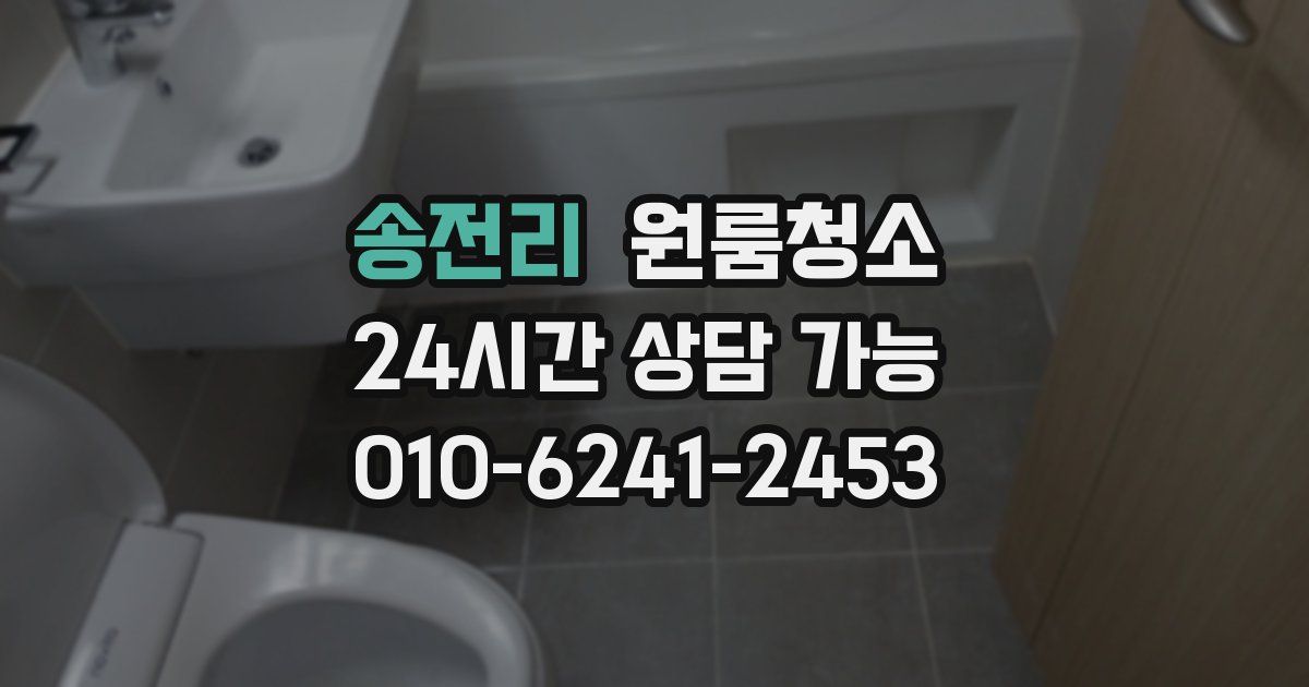 송전리 입주청소