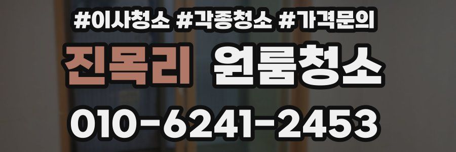 진목리 이사청소