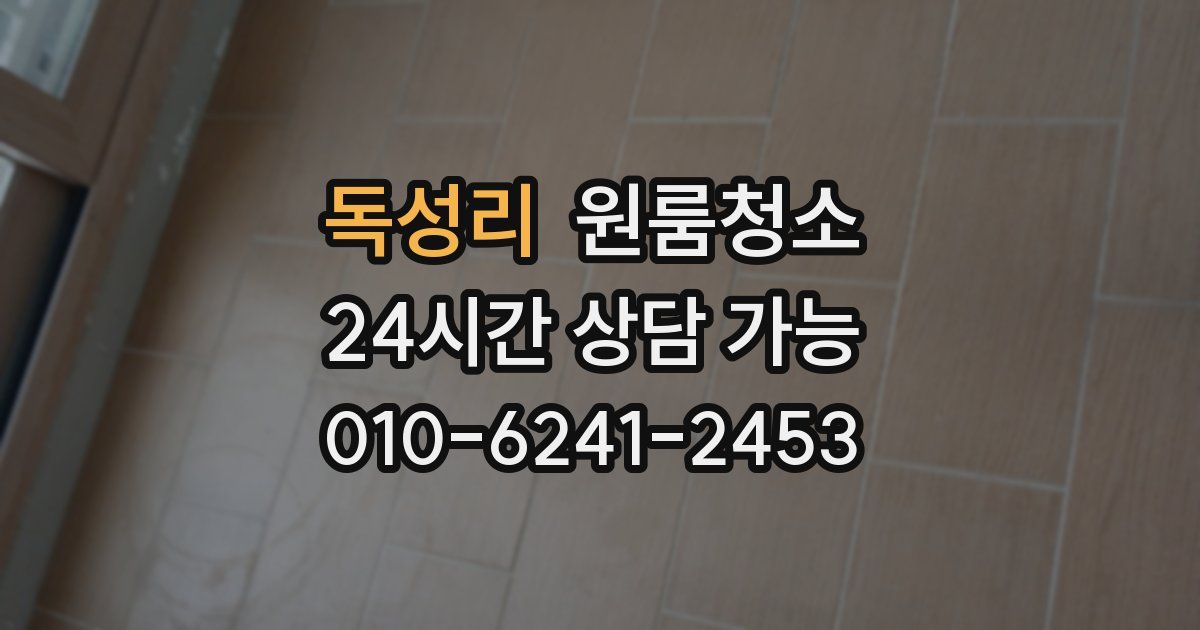 독성리 입주청소