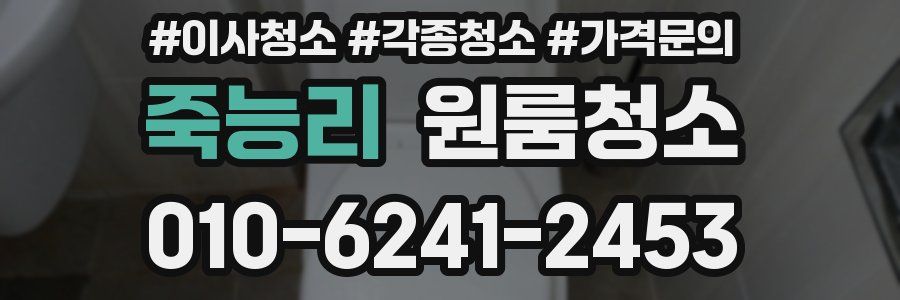 죽능리 이사청소