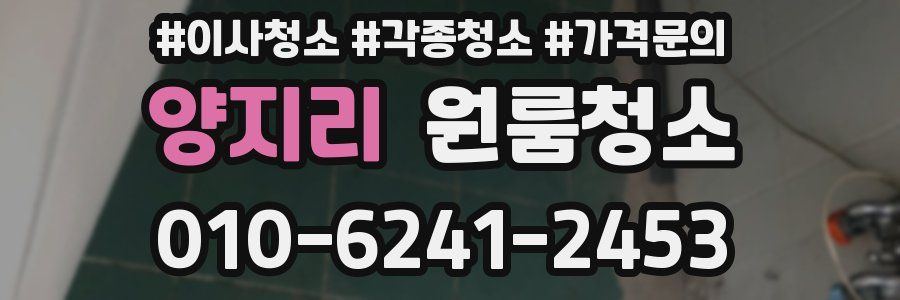 양지리 이사청소