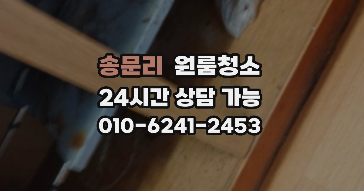 송문리 입주청소