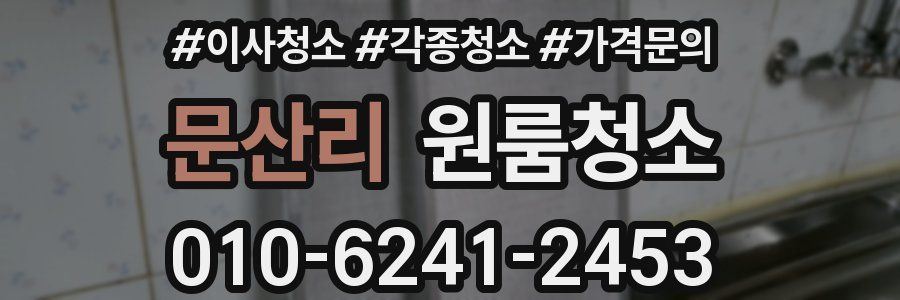 문산리 이사청소